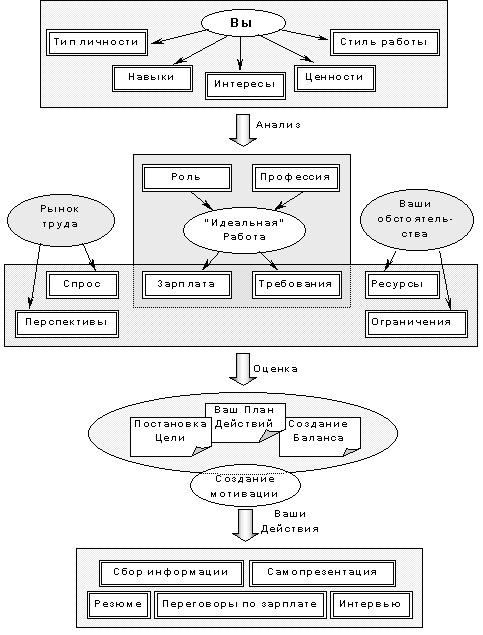 Career path diagram